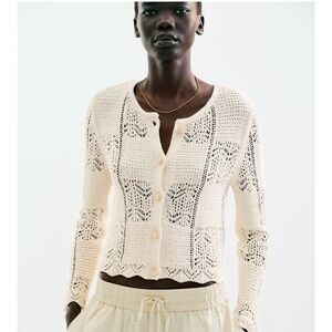 Zara Knit Cardigan